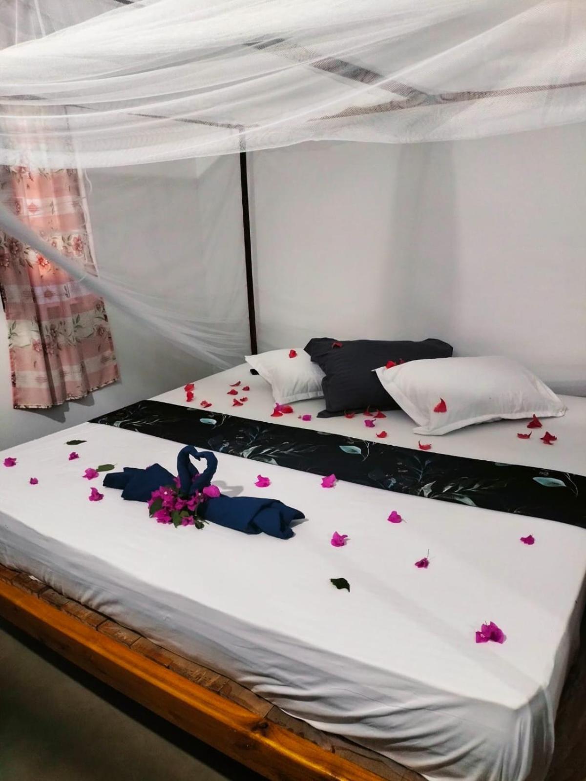 Costels Arugambay Hostel Arugam Bay Δωμάτιο φωτογραφία