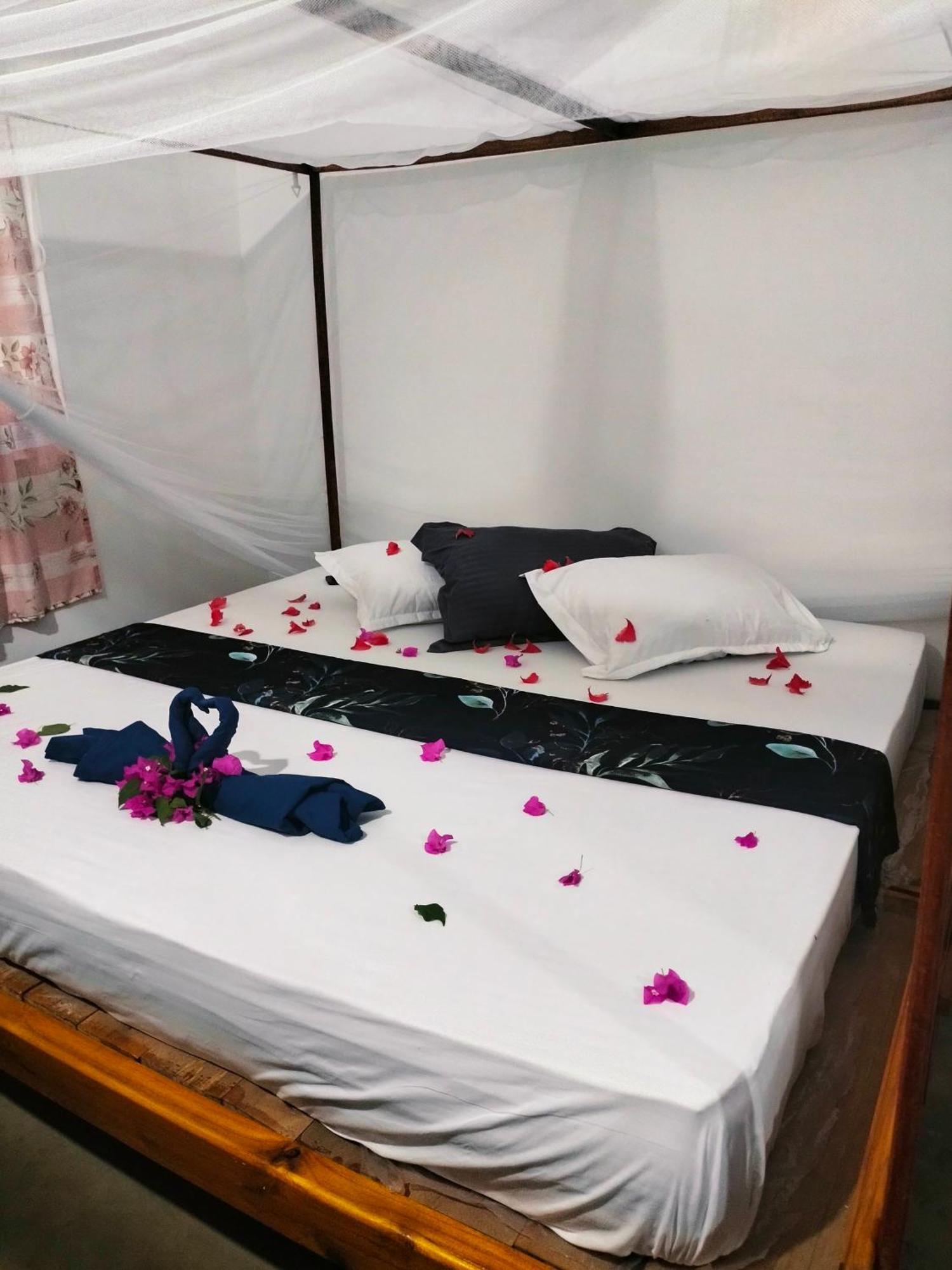 Costels Arugambay Hostel Arugam Bay Εξωτερικό φωτογραφία